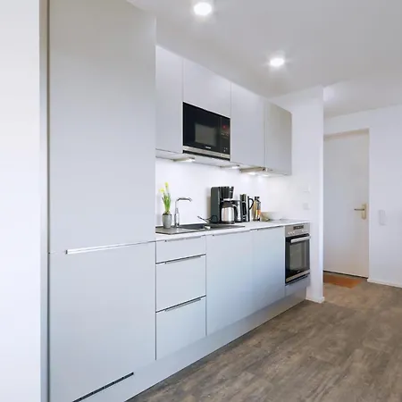 Penthouse Comfort Apartament Lembruch